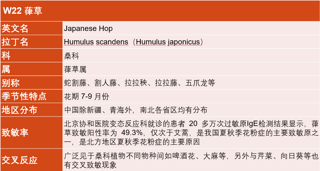 葎草表格.png